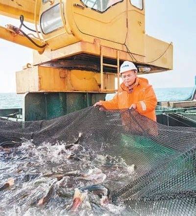 新春走基层︱人民日报整版聚焦山东烟台：记者化身渔民，探访“蓝色粮仓”