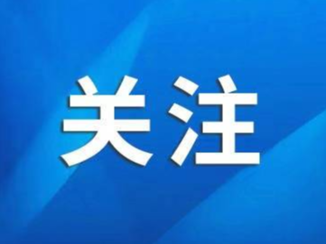 来山东，邂逅一场冬日里的浪漫“鸥”遇 