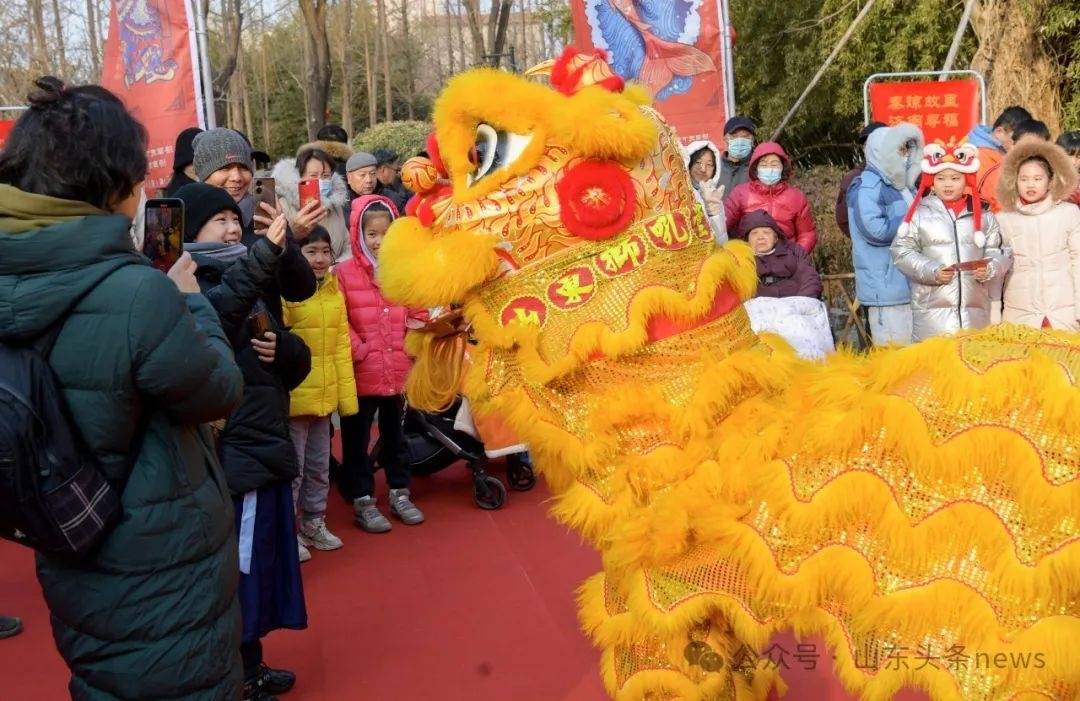 山东上演“回家的诱惑”