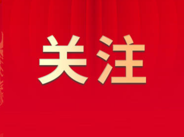 龙年到，向您道声过年好！