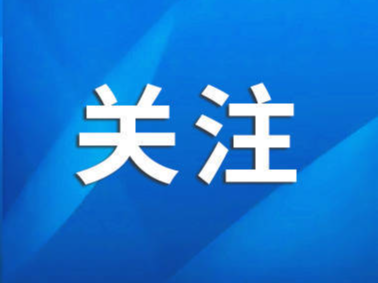 寻找山东非遗里的“中国龙”