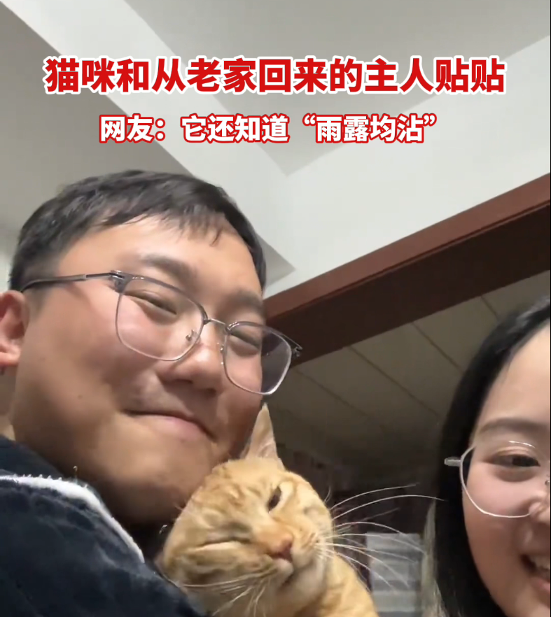 ​猫咪和从老家回来的主人贴贴