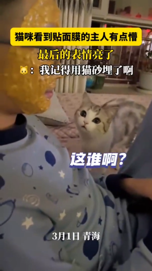 猫咪看到主人贴面膜有点懵 最后的表情亮了