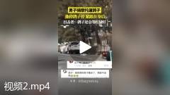 男子骑摩托溜鸽子 鸽子紧跟身后