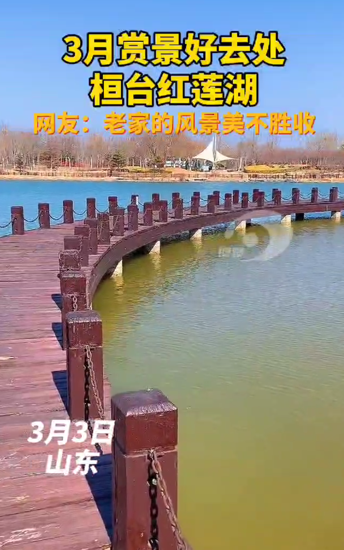 3月赏景好去处，桓台红莲湖