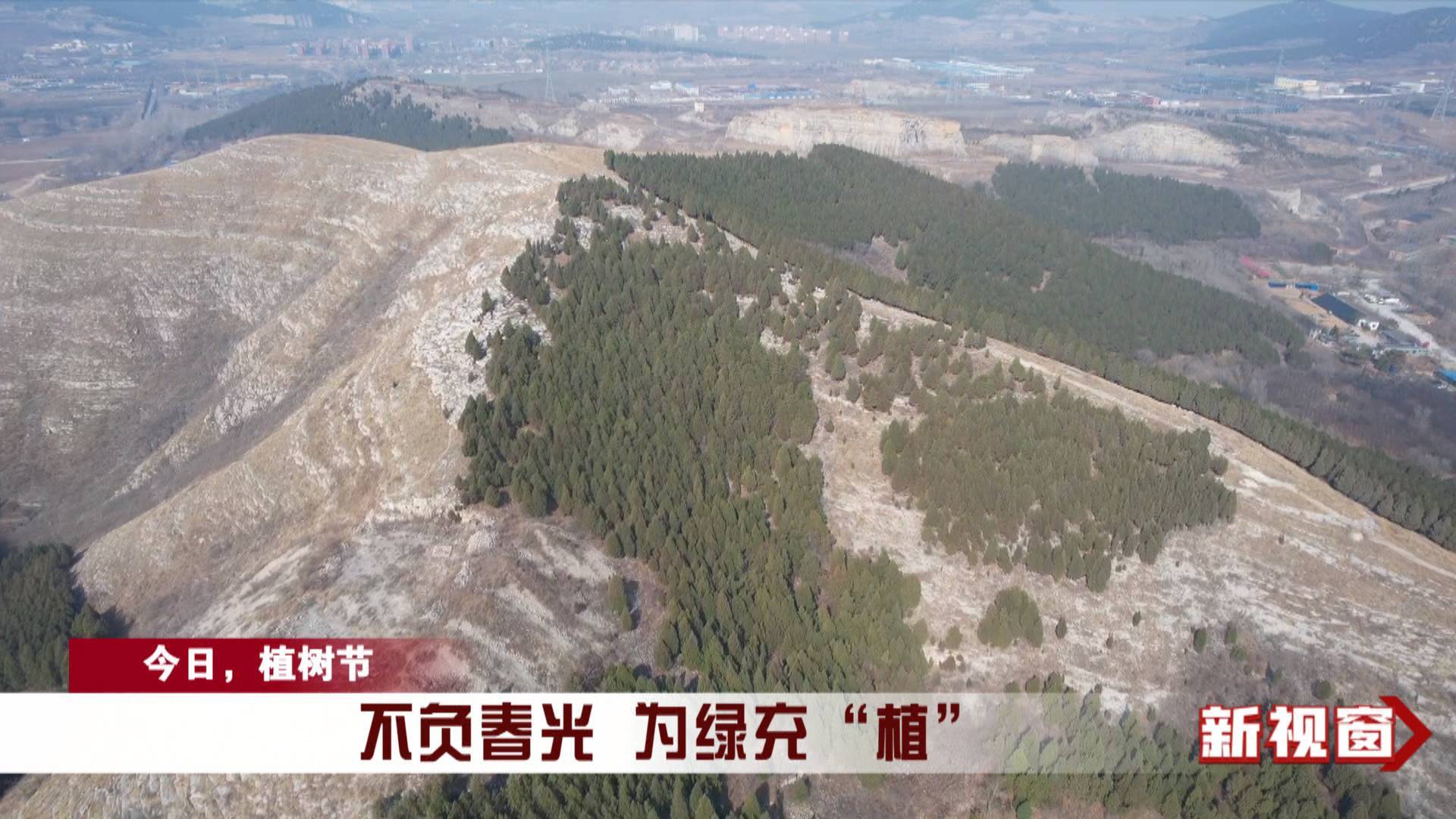 【今日，植树节】不负春光 为绿充“植”