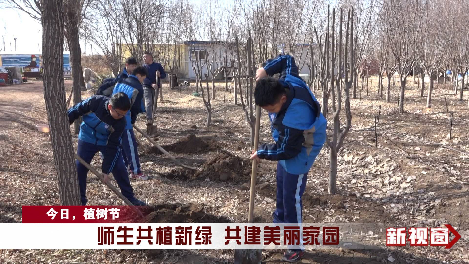 【今日，植树节】周村：师生共植新绿 共建美丽家园