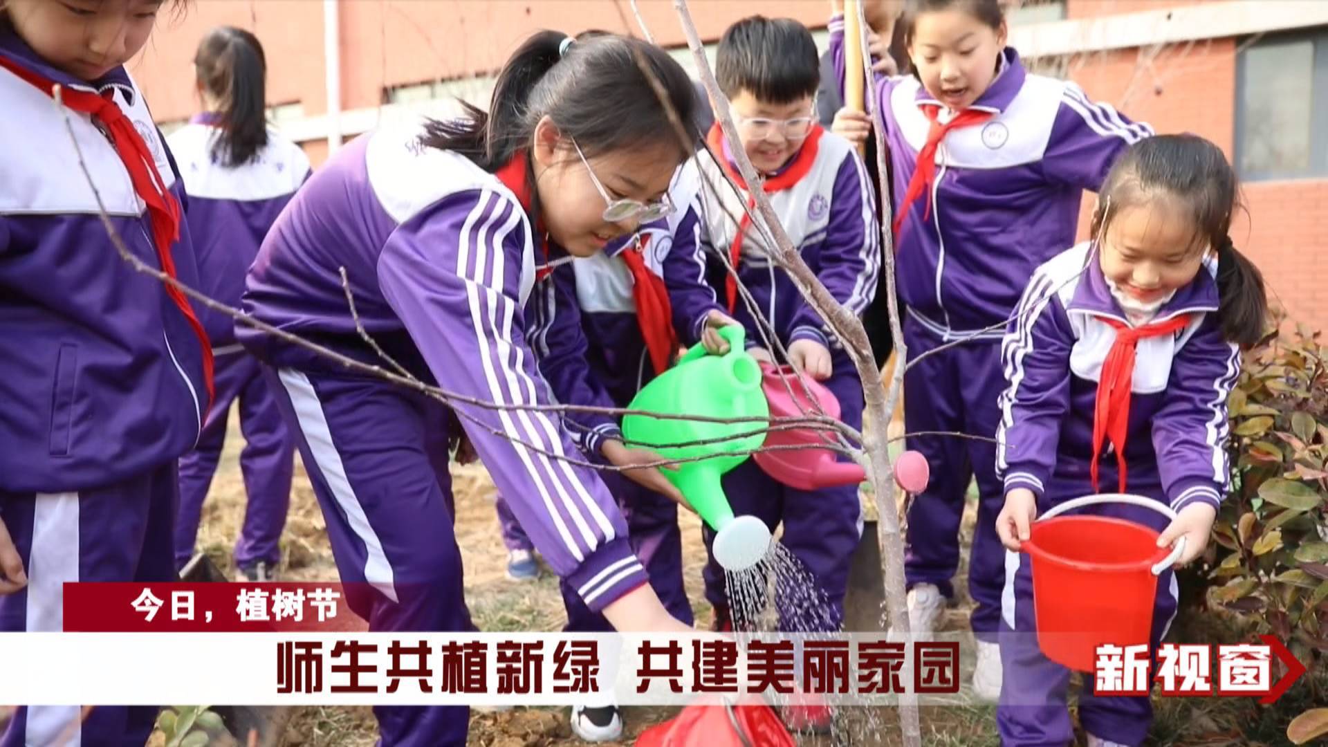 【今日，植树节】师生共植新绿 共建美丽家园