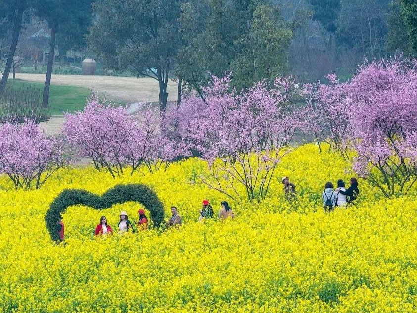 清明出游火爆！有景区门票预订同比增长5倍 出游一定做好这些准备