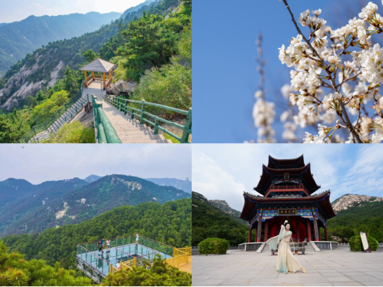 今起全部免费！山东文旅邀请全国学生免费“上春山”