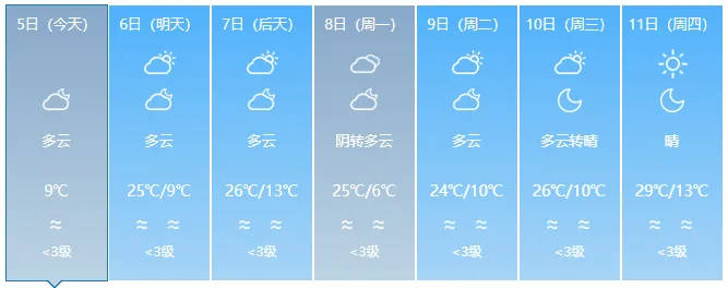 返程天气预报已备好！淄博接下来……