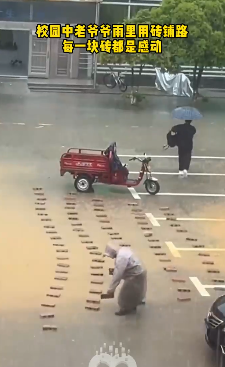 校园中者爷爷雨里用砖铺路，每一块砖都是感动