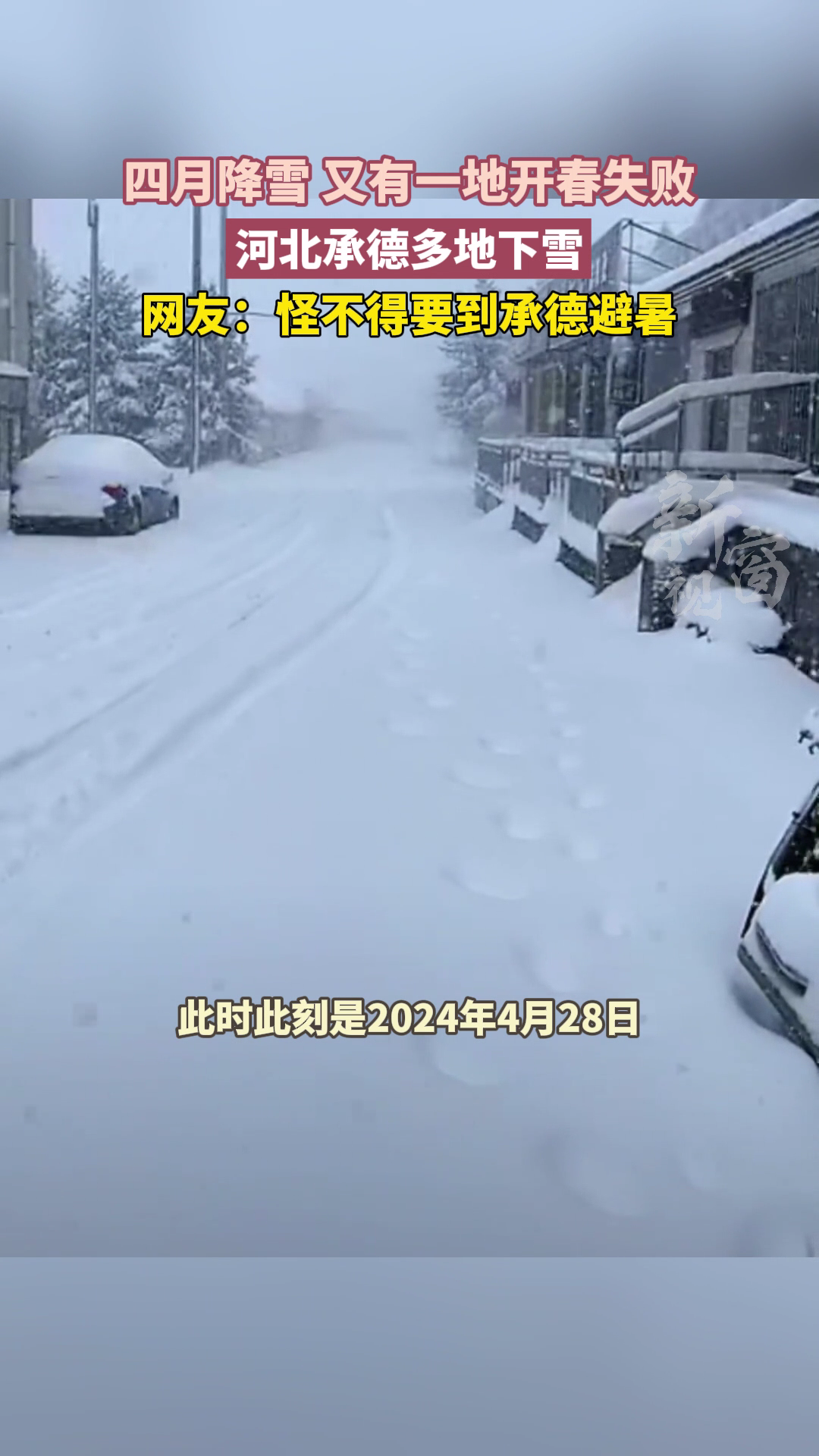 四月降雪，又一地开春失败~