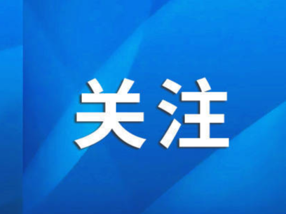 法国巴黎市民点赞黄河文化展：想拿把椅子坐下来认真欣赏