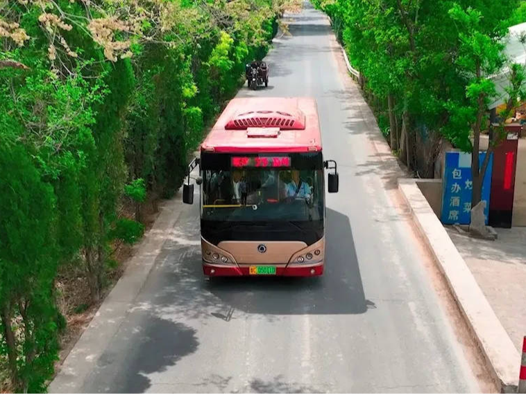 沿途风景绝美！初夏公交游淄博 这3条线路值得收藏