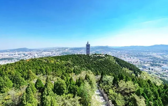 “粽”情玩耍！博山端午节文旅活动来啦！