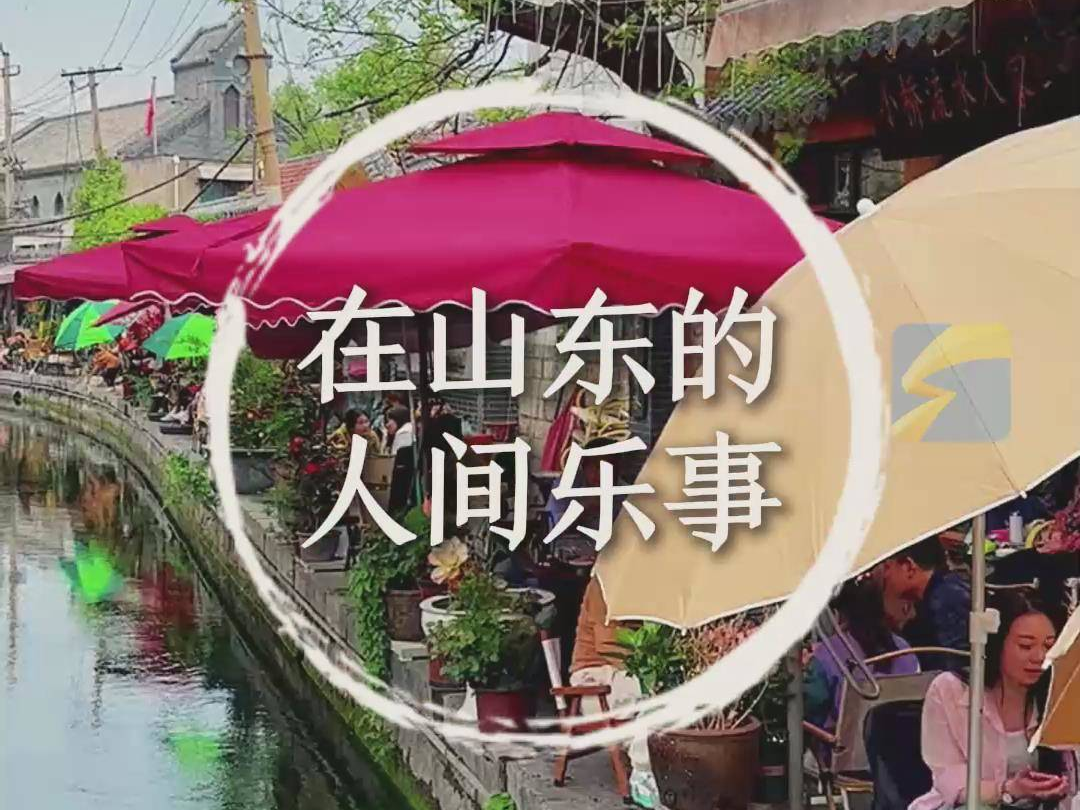 汲泉烹茶，听戏赏花……在山东，人间乐事何其多！