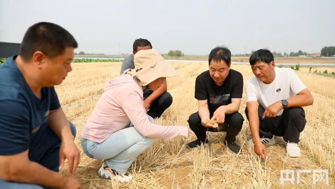 关注！干旱预警发布！这些地方有旱情