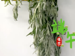 端午节习俗——悬艾