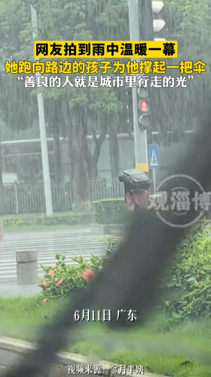 网友拍到雨中温暖一幕 她跑向路边的孩子为他撑起一把伞