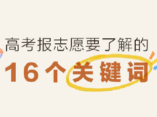 干货收藏！高考报志愿要了解的16个关键词