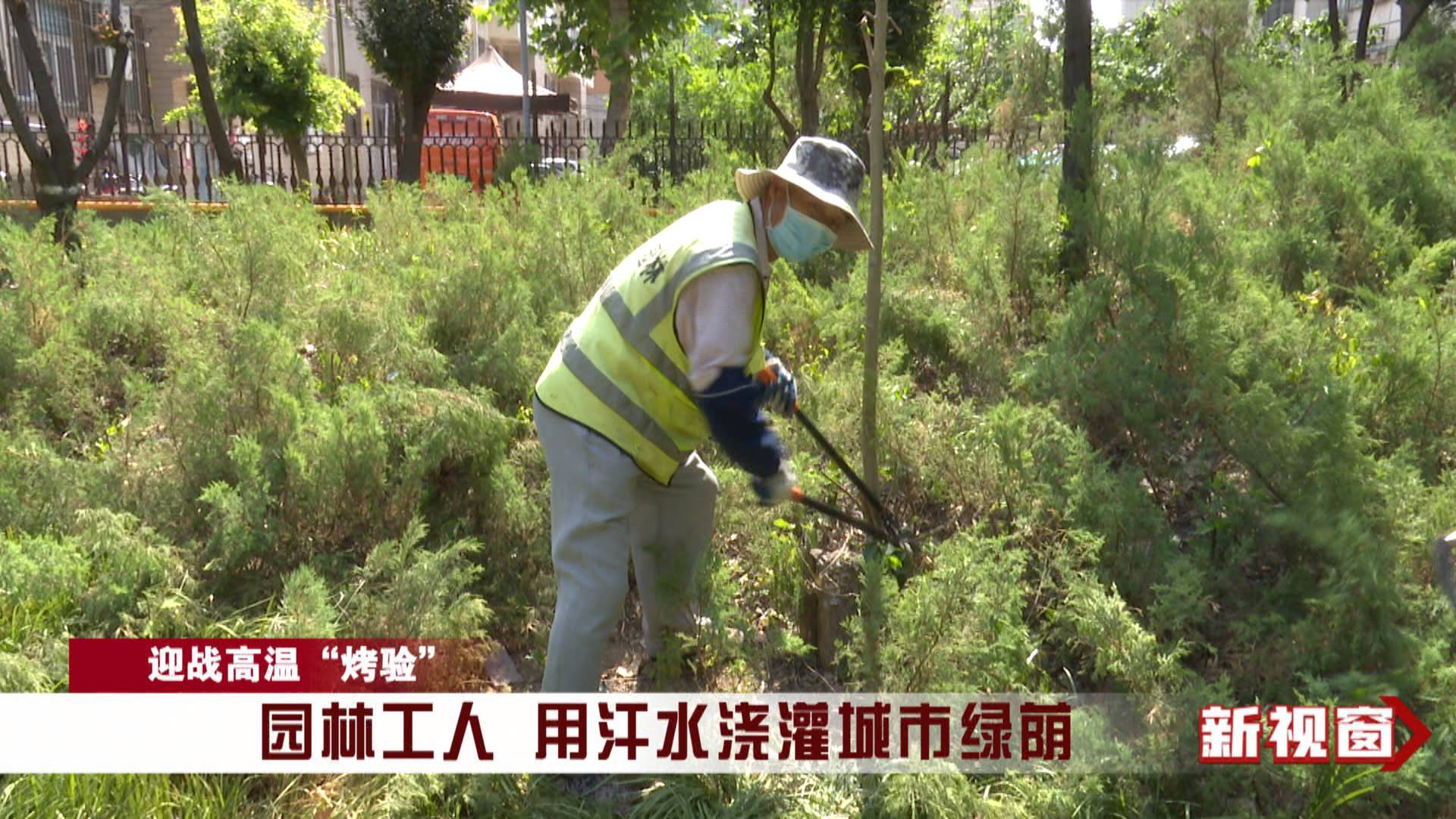 园林工人 用汗水浇灌城市绿荫