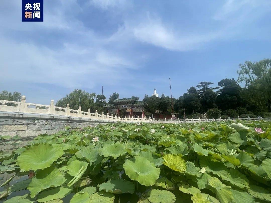 除故宫国博等，北京旅游景区全面取消预约