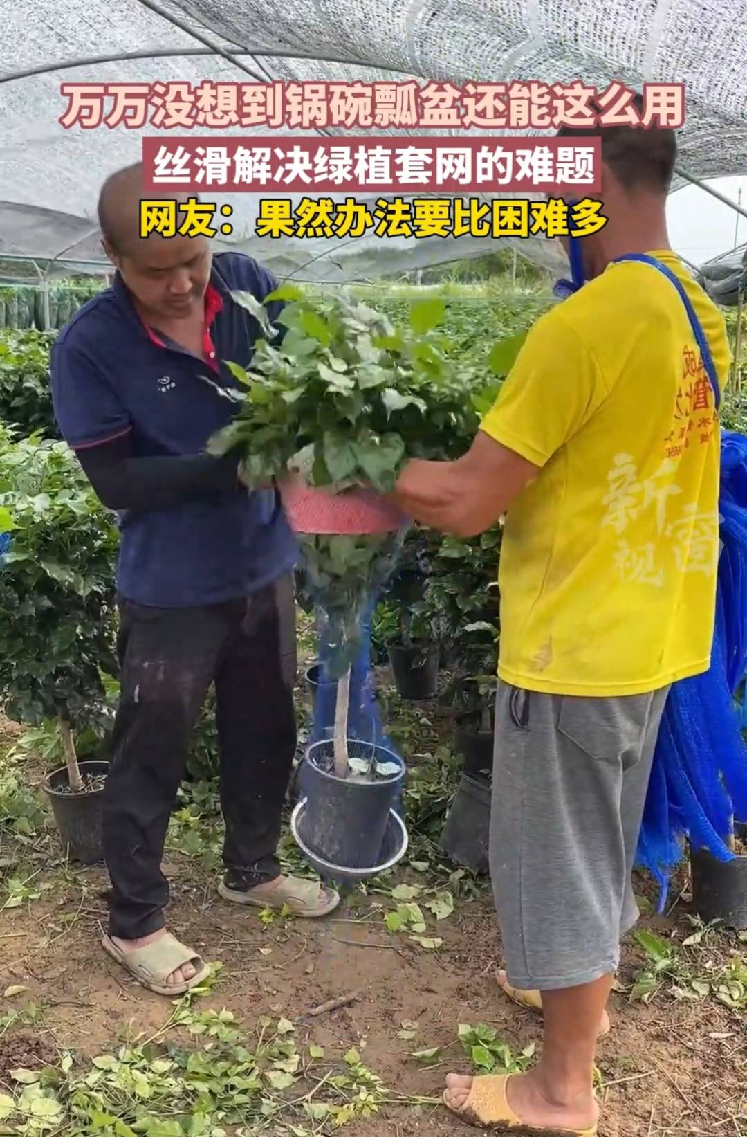 万万没想到，锅碗瓢盆还能这么用