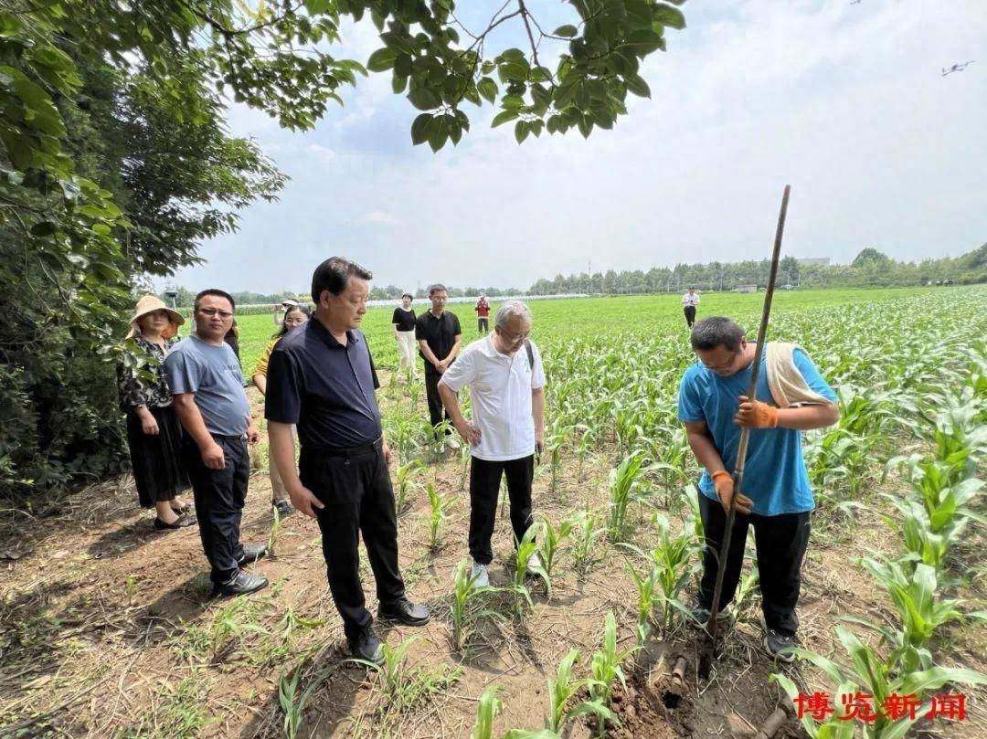 淄博市已完成60处文物点普查复核