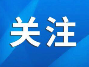 山东非“物化”考生想被录取有多难？有专业投档位次比去年高1万名