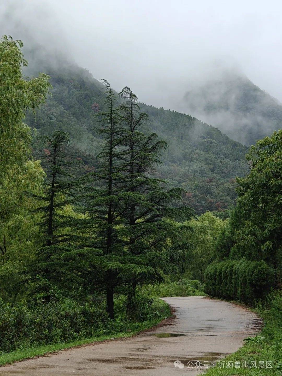 恢复营业！取消预约！淄博两景区发布公告