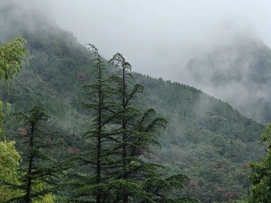 入园注意：景区发布新公告