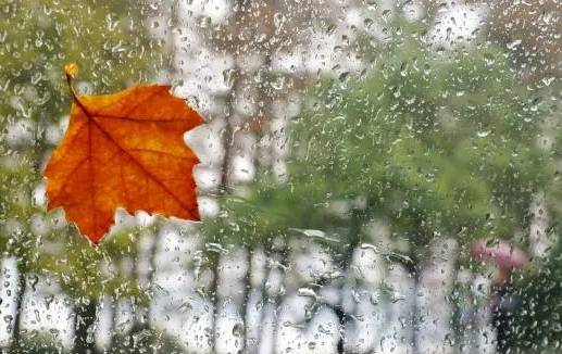 降雨不断，山东中秋节前天气预报来了