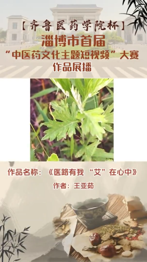 《医路有我 “艾”在心中》“齐鲁医药学院杯”淄博市首届中医药文化主题短视频大赛作品展播（33）