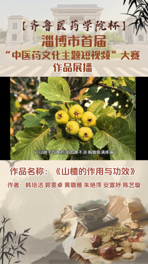 《山楂的作用与功效》“齐鲁医药学院杯”淄博市首届中医药文化主题短视频大赛作品展播（37）