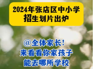 2024张店区中小学招生划片出炉