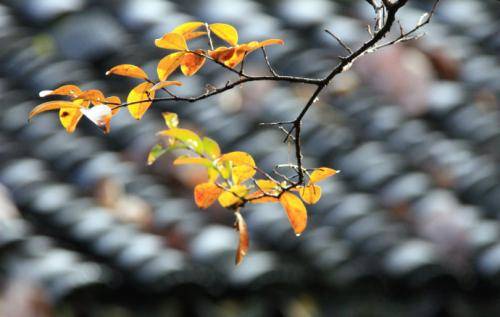 今起，我国将有大范围雨雪天气