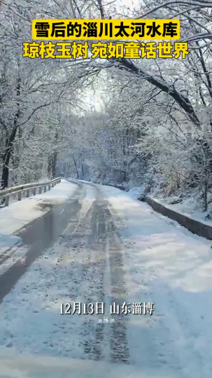 雪后的淄川太河水库，琼枝玉树宛如童话世界