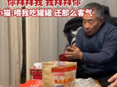 老爷爷对着小猫作揖 小猫回礼