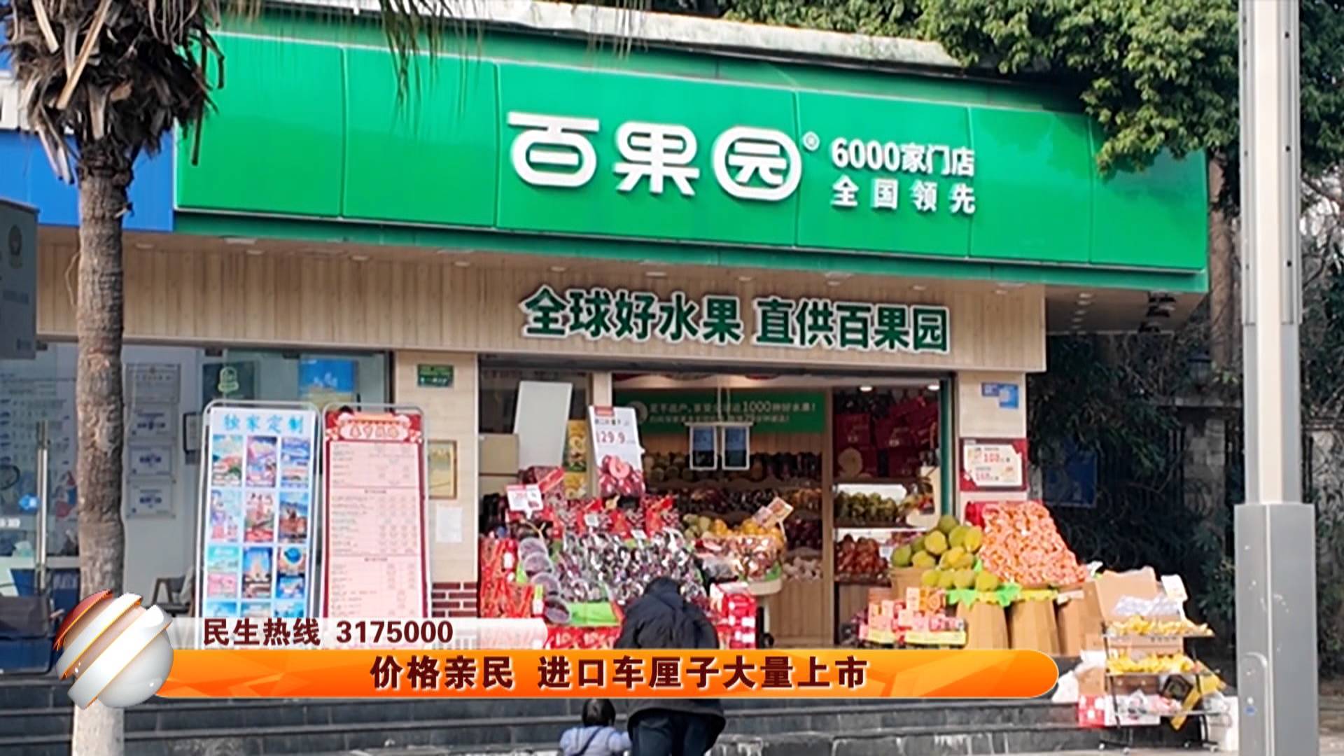 价格亲民 进口车厘子大量上市