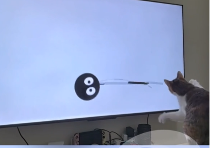 小猫看专门给小猫看的动画片