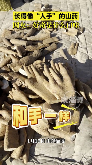 长得像“人手”的山药，好奇是什么口味
