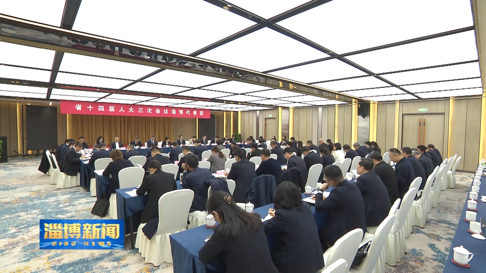 【淄博新闻】李伟参加省十四届人大三次会议淄博代表团审议政府工作报告时强调 全力维护社会大局稳定 为新时代社会主义现代化强省建设护好航