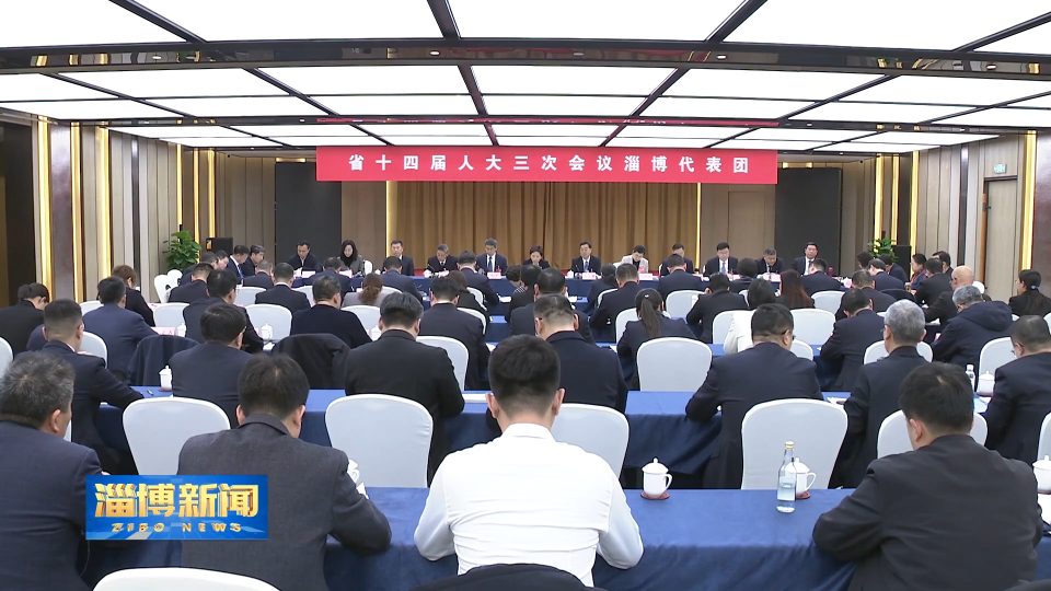 【淄博新闻】王宇燕参加省十四届人大三次会议淄博代表团审议政府工作报告时强调 锚定目标 靶向施策 着力推动全年工作任务落实落地