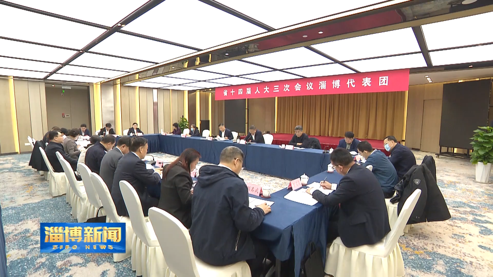 【淄博新闻】孙庆雷参加省十四届人大三次会议淄博代表团审议政府工作报告时强调 始终以服务大局为使命担当 助推全市经济社会高质量发展