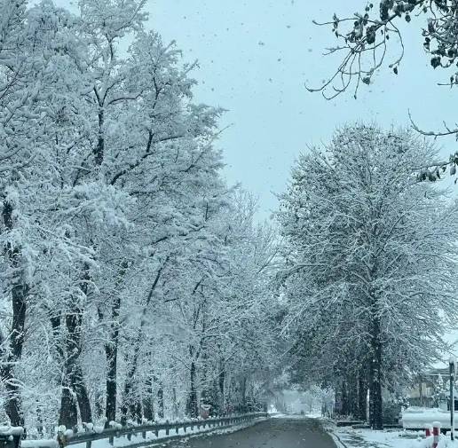 小到中雪局部大雪！刚发重要天气预报！淄博明晚开始……