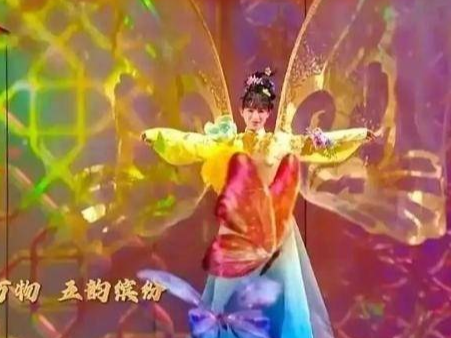 揭秘李子柒春晚“战袍”：曾人工吊染6小时