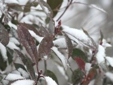 假期出行请注意！我国多地将有雨雪天气