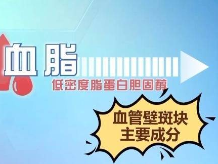 常见指标如何解读？一文看懂体检报告