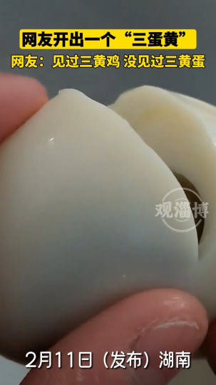 网友开出一个“三蛋黄”，网友:见过三黄鸡，没见过三黄蛋